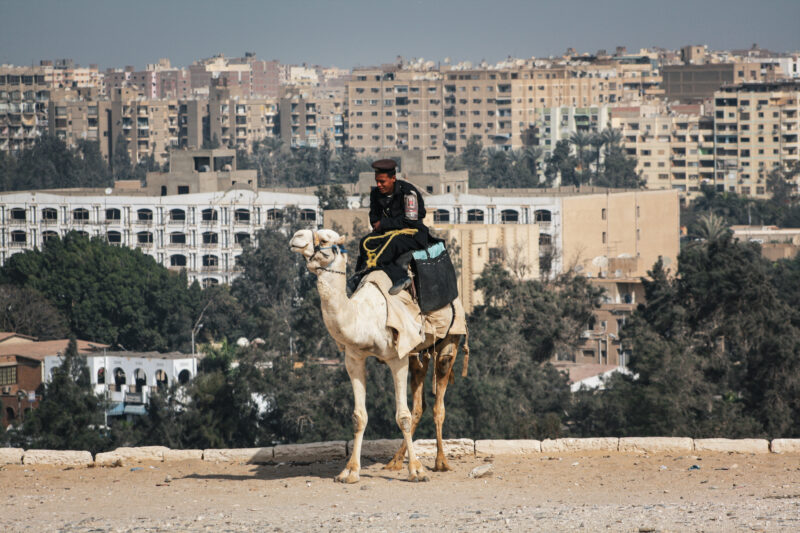 Police on a Camel _ Cairo, Egypt _ 2010
